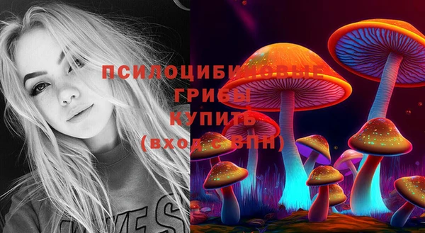 стафф Волосово